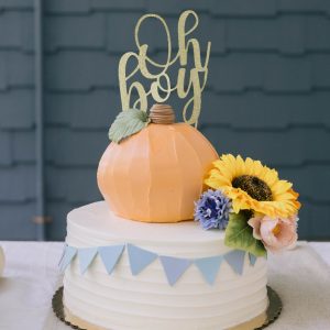Little Pumpkin on the Way