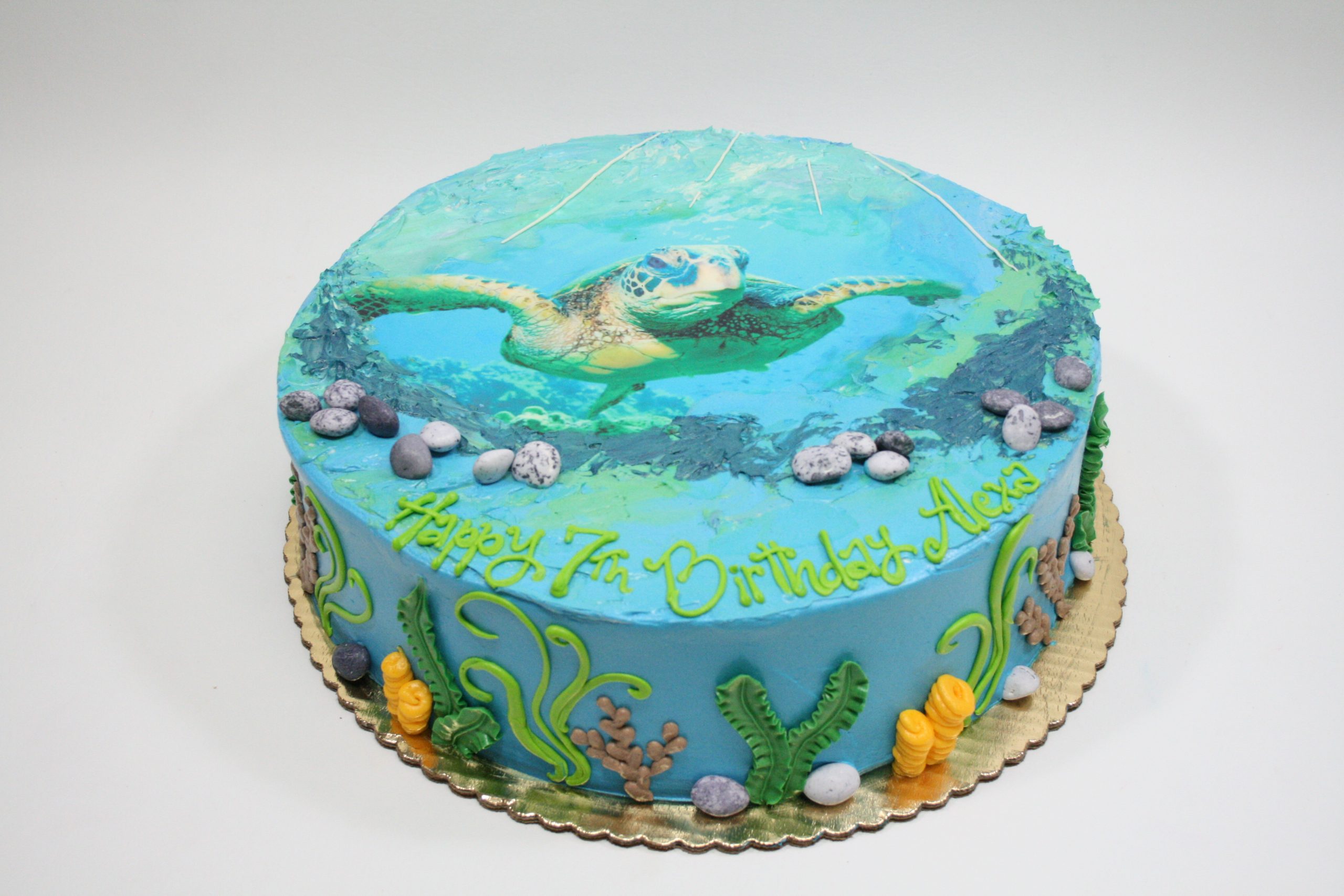 The Purple Door Kitchen: Sea Turtle Cake | Turtle birthday cake, Turtle cake,  Sea turtle cake