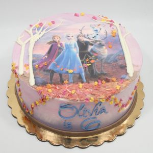 Frozen Image Scene